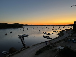 IMG 7087